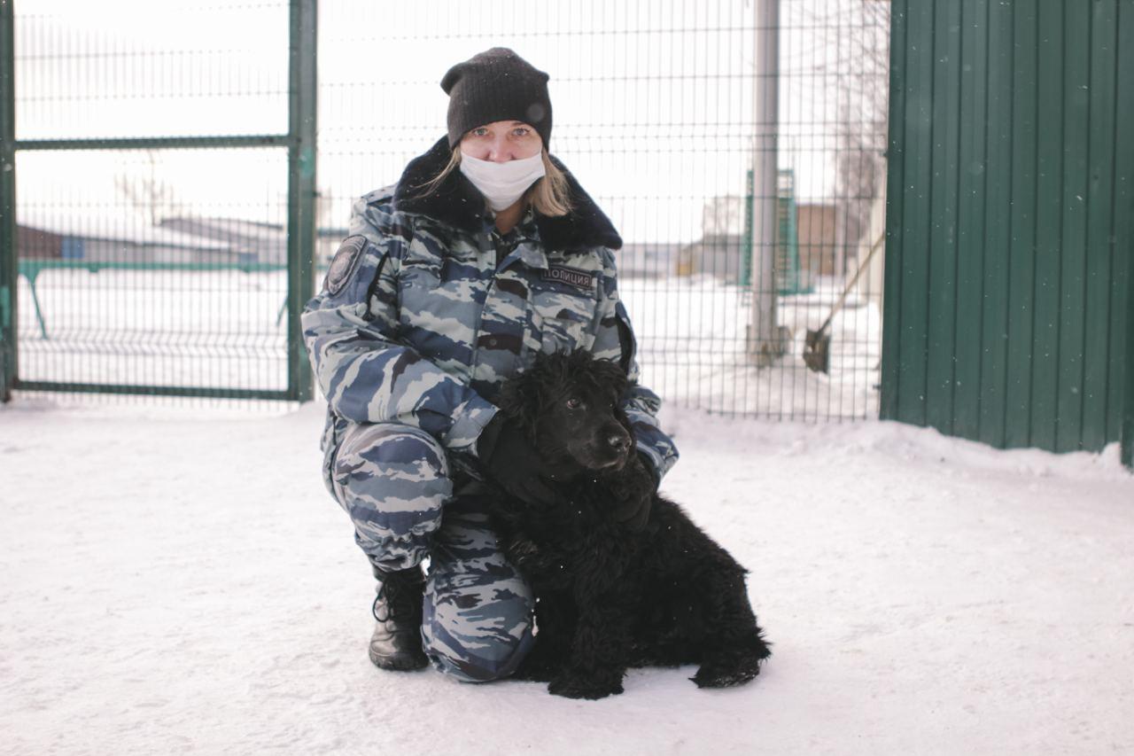 Фото «Можно валяться кверху пузом»: чем занимаются служебные собаки Новосибирска на пенсии 8